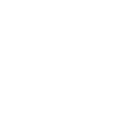 dammikon