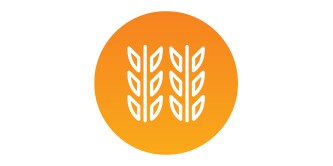 vetesymbol

