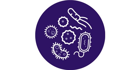 Promote patient healing with antimicrobial activity
